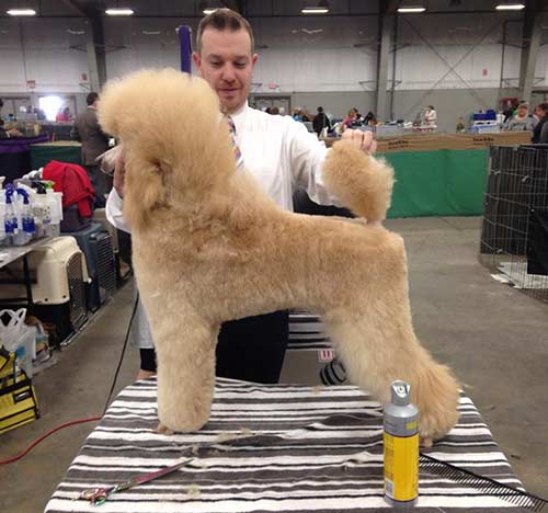 Dutchess preparing for her first show