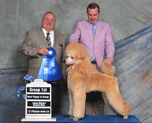 Dutchess quickly finished her championship with multiple Group Wins