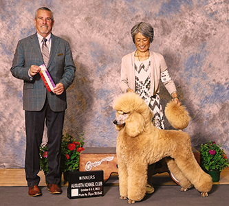 GCH. Farleys D Ulysses