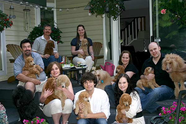 Lumiere Standard Poodles