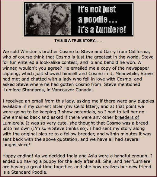 It's not just a Poodle . . . It's a Lumiere!