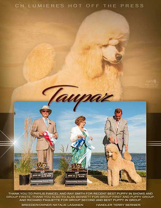 Grand Champion Lumiere's Hot Off The Press